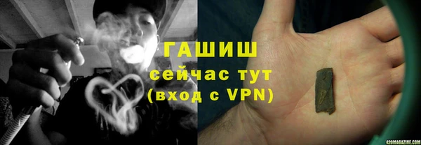 прущие грибы Ростов