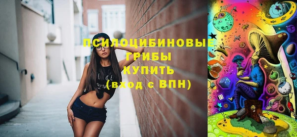 спиды Белокуриха