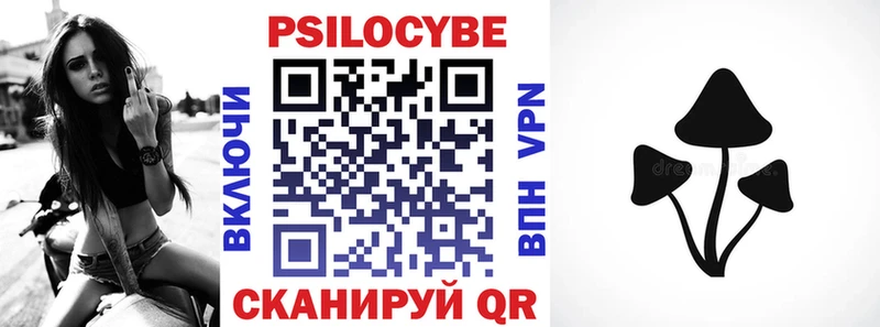 darknet какой сайт цена наркотик Нерюнгри Галлюциногенные грибы Psilocybine cubensis